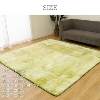 カーペット 約185×185cm ボリュームラグ ウェンデル 送料無料-3