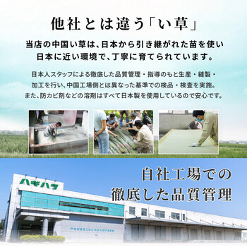 畳付き収納スツールRUD 1149BR 送料無料-12