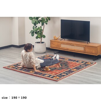 ラグ お部屋が明るくなる天然素材のトライバル風ラグ 190×240 MADRAS 送料無料-5