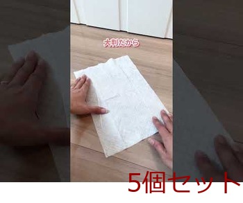 ダニクリン ウェットシート 20枚入 5セット 送料無料-9