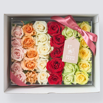 ホシファーム 生花バラ デコレーションローズ フラワーシャワー バスフラワー メッセージカード付 ラッピング済 送料無料-3