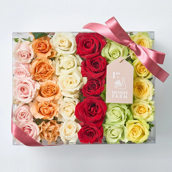 ホシファーム 生花バラ デコレーションローズ フラワーシャワー バスフラワー メッセージカード付 ラッピング済 送料無料-4