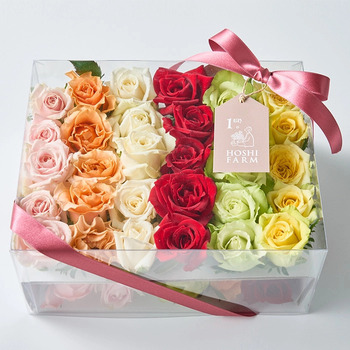 ホシファーム 生花バラ デコレーションローズ フラワーシャワー バスフラワー メッセージカード付 ラッピング済 送料無料-5