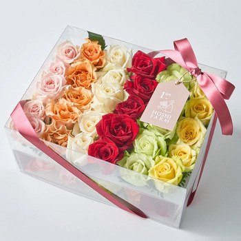 ホシファーム 生花バラ デコレーションローズ フラワーシャワー バスフラワー メッセージカード付 ラッピング済 送料無料-6