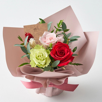 ホシファーム ミニアレンジメントカラフル＆ホシフルーツ贅沢ブラウニー３個入 メッセージカード付 ラッピング済 送料無料-3