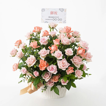 ホシファーム 薔薇の御祝アレンジメント スイート 送料無料-2