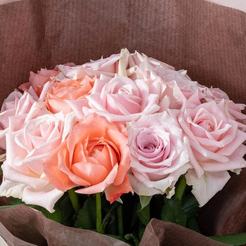 ホシファーム 届いた姿でそのまま飾れるスタンディング薔薇ブーケ スイート１２本 送料無料-1