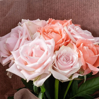 ホシファーム 届いた姿でそのまま飾れるスタンディング薔薇ブーケ スイート８本 送料無料-1