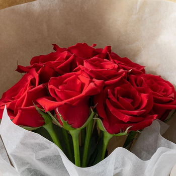 ホシファーム 届いた姿でそのまま飾れるスタンディング薔薇ブーケ ルージュ８本 送料無料-1