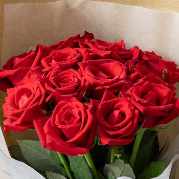 ホシファーム 届いた姿でそのまま飾れるスタンディング薔薇ブーケ ルージュ１２本 送料無料-1