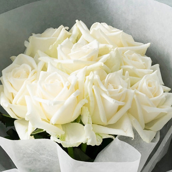 ホシファーム 届いた姿でそのまま飾れるスタンディング薔薇ブーケ ピュア８本 送料無料-1