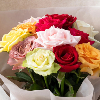 ホシファーム 届いた姿でそのまま飾れるスタンディング薔薇ブーケ カラフル１２本 送料無料-1