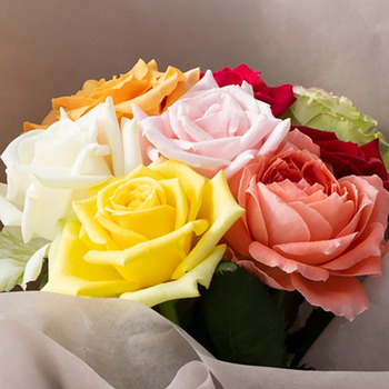 ホシファーム 届いた姿でそのまま飾れるスタンディング薔薇ブーケ カラフル８本 送料無料-1