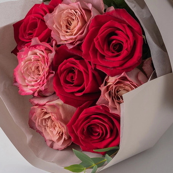 ホシファーム フリルブーケ ニュアンスレッド ８本 メッセージカード付 ラッピング済 送料無料-0