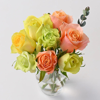 ホシファーム フリルブーケパッション８本 ＆ ホシフルーツ 贅沢ブラウニー９個入 メッセージカード付 ラッピング済 送料無料-1