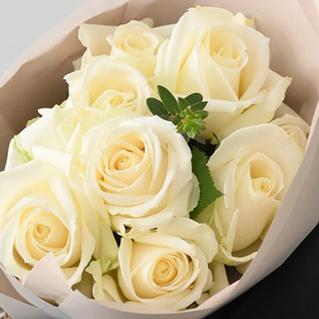 フリルブーケ ピュア ８本 メッセージカード付 ラッピング済 送料無料-3