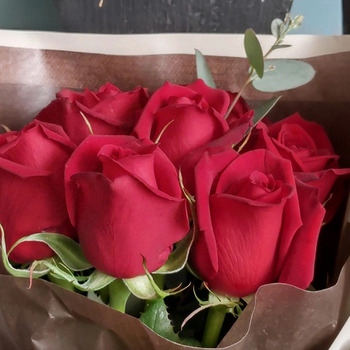 ホシファーム フリルブーケ ルージュ８本＆ホシフルーツ 贅沢ブラウニー ６個入 メッセージカード付 ラッピング済 送料無料-4