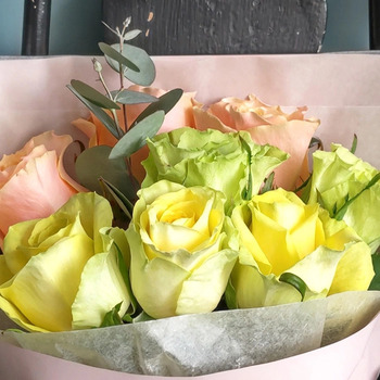 ホシファーム フリルブーケ パッション８本＆銀座千疋屋 銀座チョコパウンドケーキ メッセージカード付 ラッピング済 送料無料-6