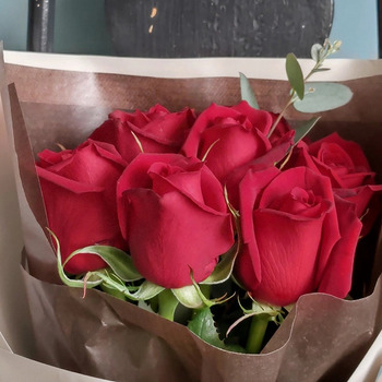 ホシファーム フリルブーケ ルージュ８本＆銀座千疋屋 銀座チョコパウンドケーキ メッセージカード付 ラッピング済 送料無料-4