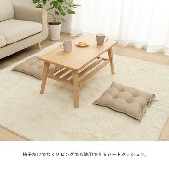 クッション 約43×43cm シート 無地 国産 ループ シート 4個セット 送料無料-2