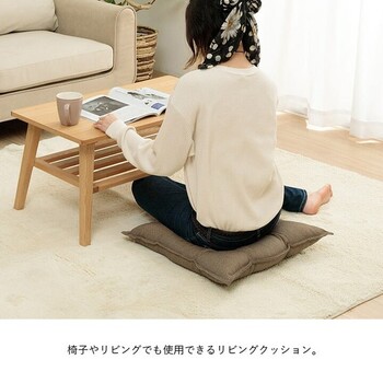 クッション 約53×53cm シート リビング 座布団 無地 国産 ループ リビング 4個セット 送料無料-2