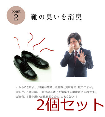 インソール ジュニア メンズ レディース 消臭 抗菌 い草インソール ネイビー い草インソール 2個セット 送料無料-3