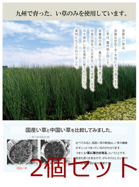 インソール ジュニア メンズ レディース 消臭 抗菌 い草インソール ネイビー い草インソール 2個セット 送料無料-5