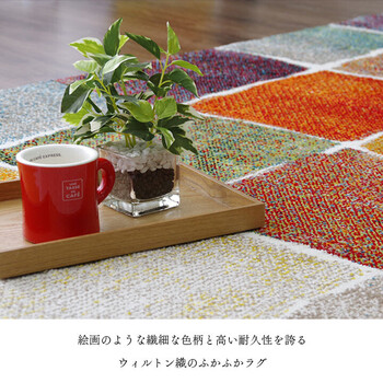 ラグ ラグマット 約80×140cm カラフル 抗菌防臭 消臭効果 玄関用 パレット 送料無料-1