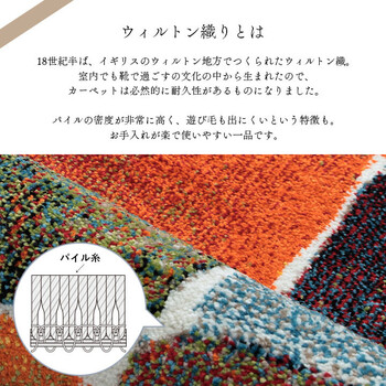 ラグ ラグマット 約80×140cm カラフル 抗菌防臭 消臭効果 玄関用 パレット 送料無料-3