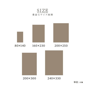 カーペット 新生活 トルコ製 ウィルトン織り カーペット 約240×330cm　ベルミラ RUG 送料無料-13