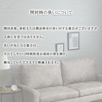 カーペット 新生活 トルコ製 ウィルトン織り カーペット 約240×330cm　ベルミラ RUG 送料無料-14