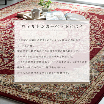 カーペット 新生活 トルコ製 ウィルトン織り カーペット 約240×330cm　ベルミラ RUG 送料無料-3