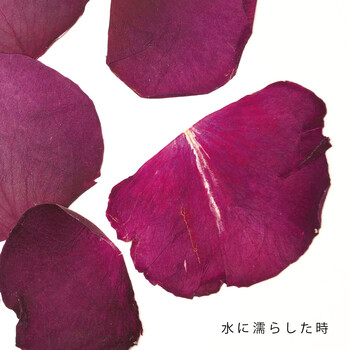 国産 乾燥 薔薇 花びら 葉 50枚入 日本製 送料無料-1
