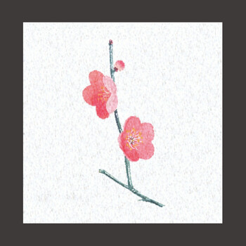 両面ラミ四季彩シート 200枚 9柄 キッチン 日本製 送料無料-10