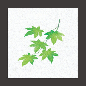 両面ラミ四季彩シート 200枚 9柄 キッチン 日本製 送料無料-12