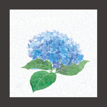 両面ラミ四季彩シート 200枚 9柄 キッチン 日本製 送料無料-14