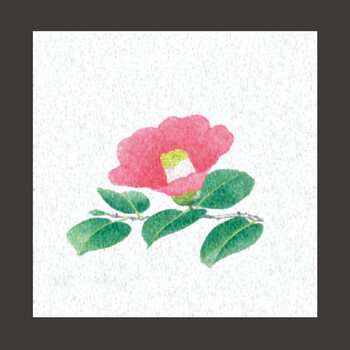 両面ラミ四季彩シート 200枚 9柄 キッチン 日本製 送料無料-18