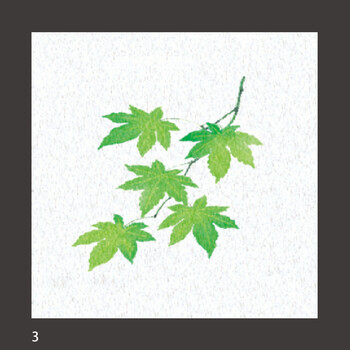 両面ラミ四季彩シート 200枚 9柄 キッチン 日本製 送料無料-2