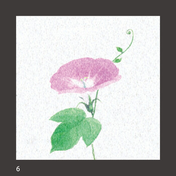 両面ラミ四季彩シート 200枚 9柄 キッチン 日本製 送料無料-5