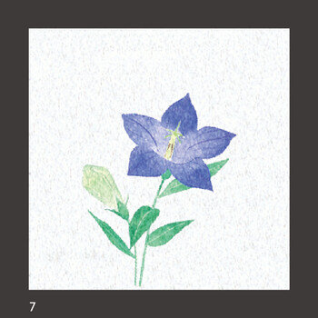 両面ラミ四季彩シート 200枚 9柄 キッチン 日本製 送料無料-6