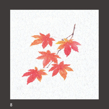 両面ラミ四季彩シート 200枚 9柄 キッチン 日本製 送料無料-7