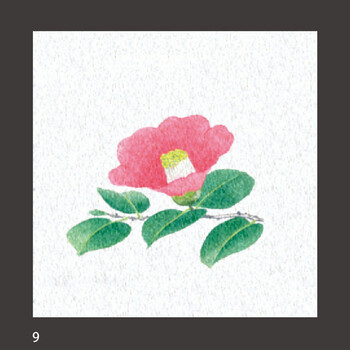 両面ラミ四季彩シート 200枚 9柄 キッチン 日本製 送料無料-8