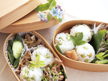 日本の弁当箱 網代小判 丸型 Cool Japan ナチュラルキッチン 日本製 送料無料-4