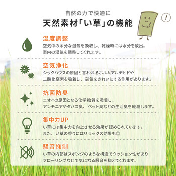 国産い草 玄関マット 約60×90cm　裏貼り 滑りにくい加工 オリエンタル 送料無料-9