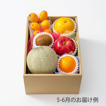 ホシフルーツ おまかせ旬のフルーツＢＯＸ Ｃ のし対応可 送料無料-0