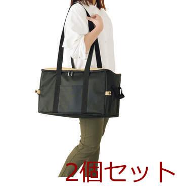 レジャー アンド ライフ 保温保冷ビッグボックスバッグ LL 09 ×2セット 送料無料-2