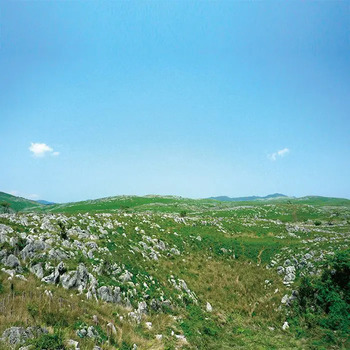 長門ゆずきちくん（ジュース）２４本セット のし対応可 送料無料-3