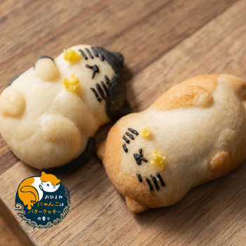 ねこクッキー おひるねにゃんこはバタークッキーの香り ジェニ ハチワレ 20個セット 送料無料-3