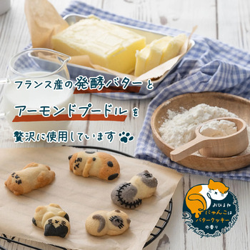 ねこクッキー おひるねにゃんこはバタークッキーの香り ジェニ ハチワレ 20個セット 送料無料-4
