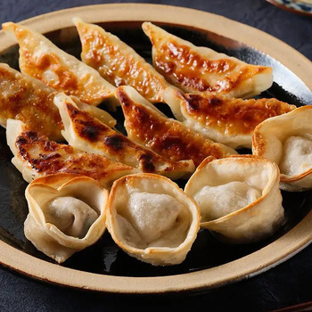 土佐を包む お山の餃子 土佐あかうし 野菜 のし対応可 送料無料-1